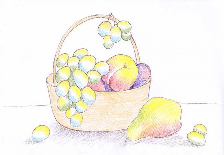 Рисунки фруктов для срисовки акварелью