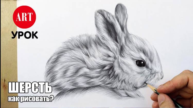 Как рисовать кролика и шерсть животных карандашом