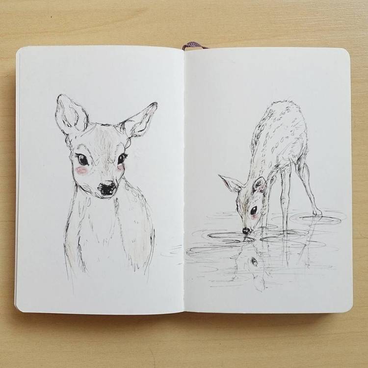 Рисунки для скетчбука простые животные 