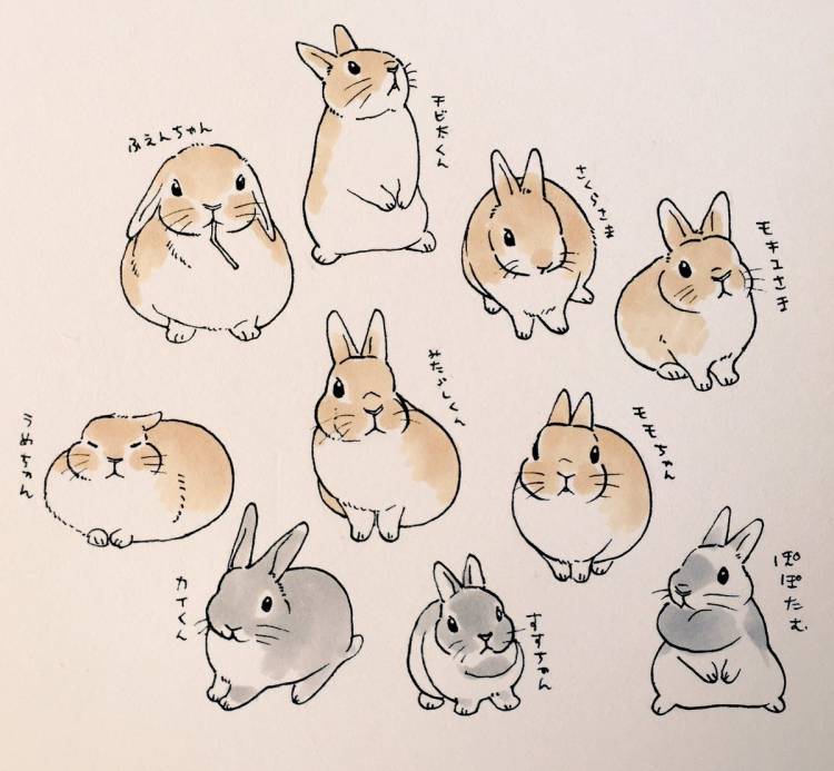 Рисунки для срисовки карандашом животные милые