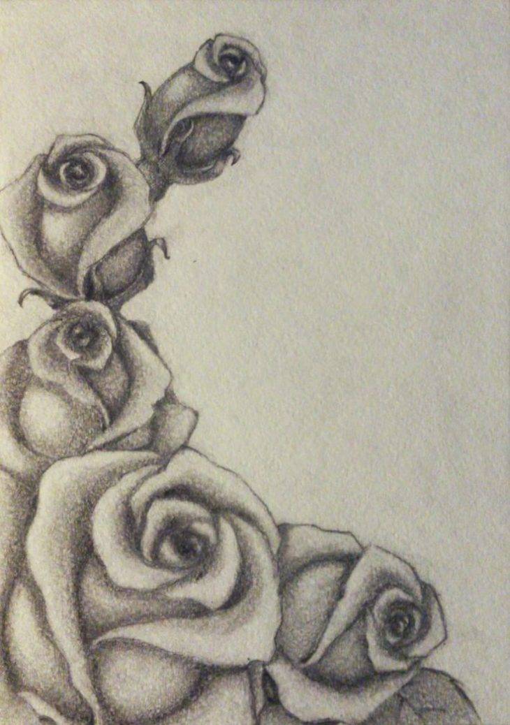 Легкие срисовки розы карандашом 