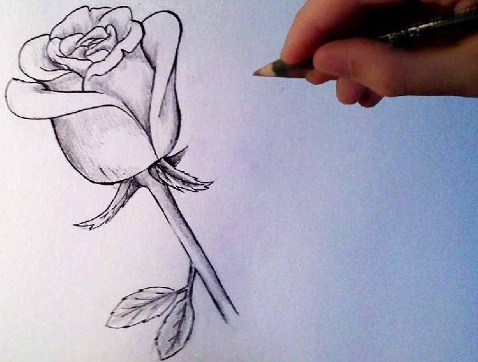 Смотреть ✓ Красивые розы для срисовки 