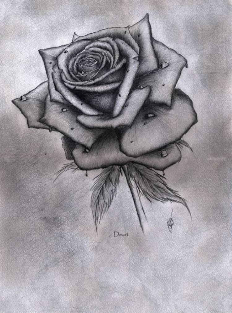 Рисунки для срисовки букет роз 