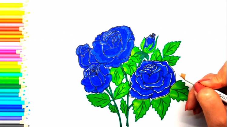 Как нарисовать Букет Синих Роз легко карандашом поэтапно рисунки для срисовки