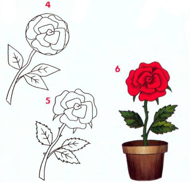 Рисунки розы для срисовки 
