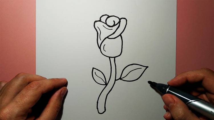How to draw a ROSE easily and simply