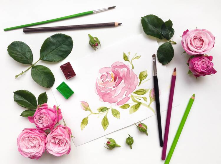 Как нарисовать цветок или букет цветов