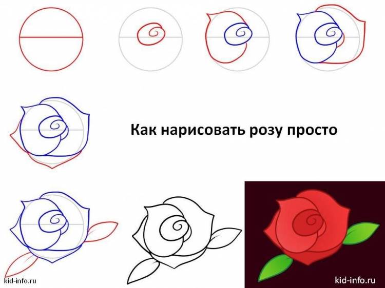 Роза рисунок простой поэтапно для начинающих 