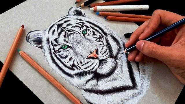 Как нарисовать Тигра символа