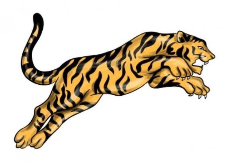 Как нарисовать тигра легко и просто, интересные идеи