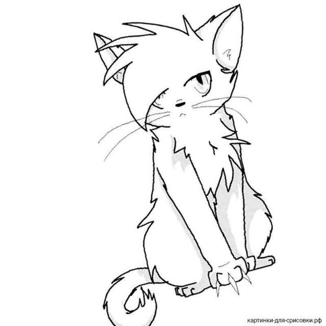 Картинки кошек аниме для срисовки 