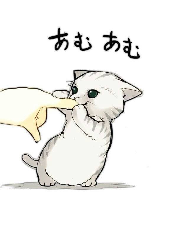 Милые рисунки аниме кошки 