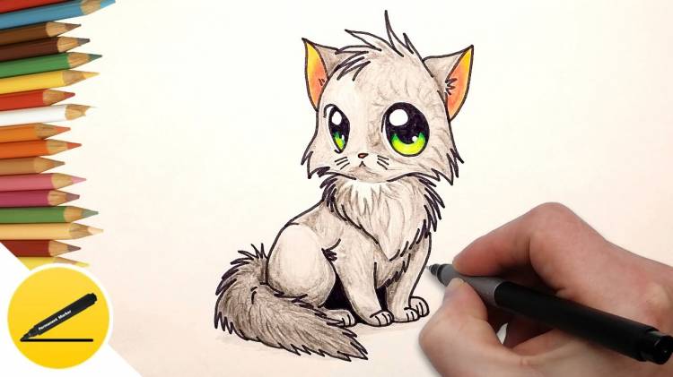 How to Draw a Cat (kitten) anime step by step