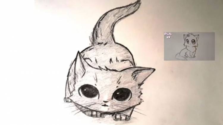 Рисунки аниме кошки для срисовки