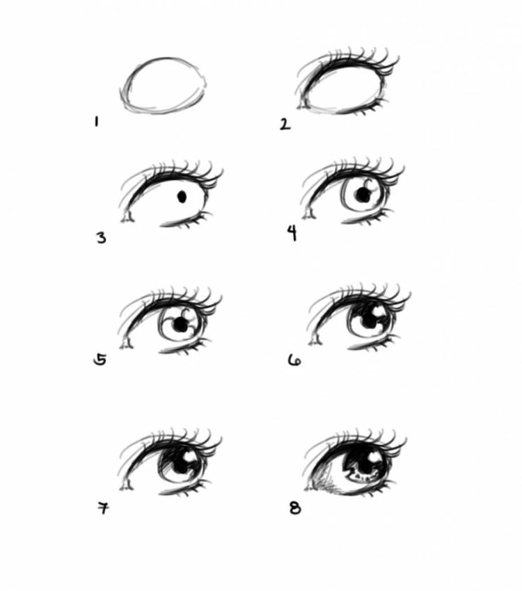 Схема рисования глаз для начинающих