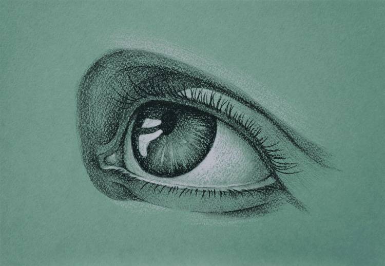 Как нарисовать глаз человека поэтапно?