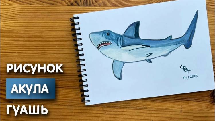 Как нарисовать акулу карандашом и гуашью для детей