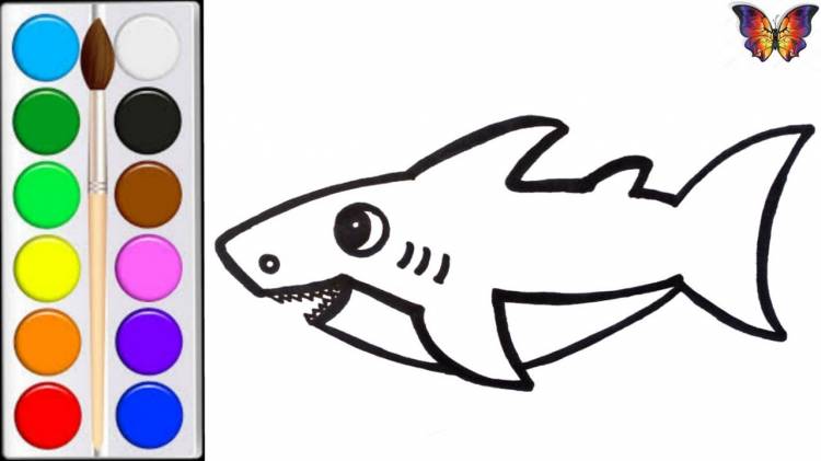 How to draw a SHARK