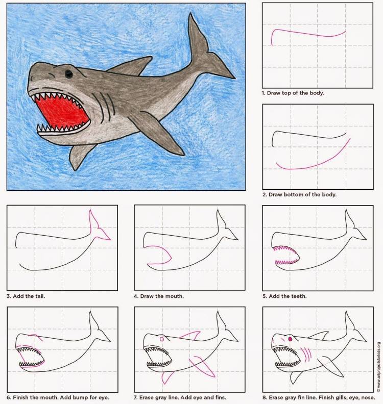 Акула рисунок для детей поэтапно 