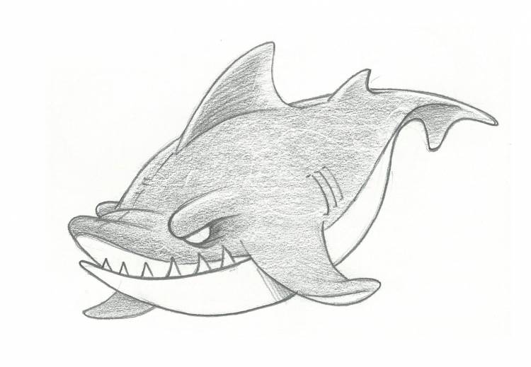 Рисунки для срисовки легкие акула