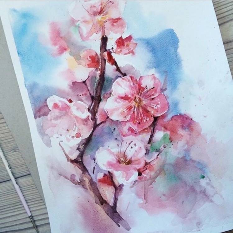 Рисунки цветов для срисовки красками