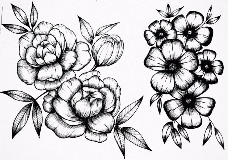 Цветы для срисовки черно белые