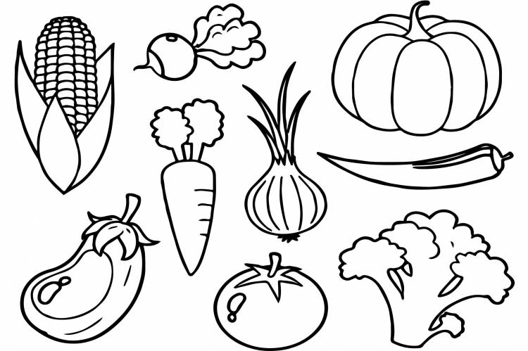 Детские рисунки овощи и фрукты 