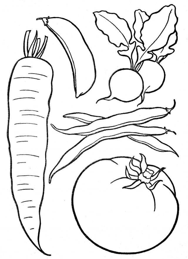 Картинки овощей карандашом для срисовки 