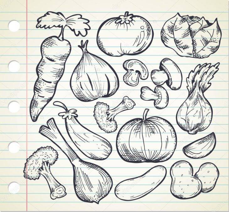 Рисунки для срисовки милых овощей 