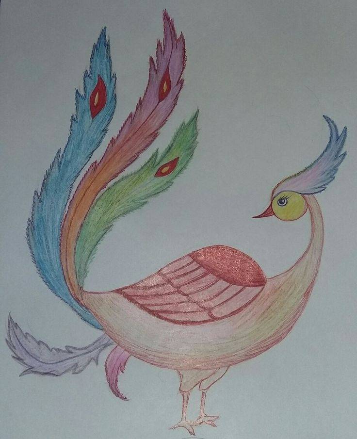 Нарисовать жар птицу карандашом