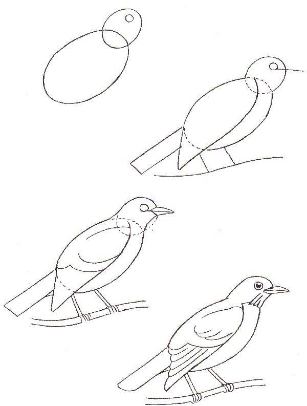 Как нарисовать кормушку с птицами поэтапно карандашом, красками?