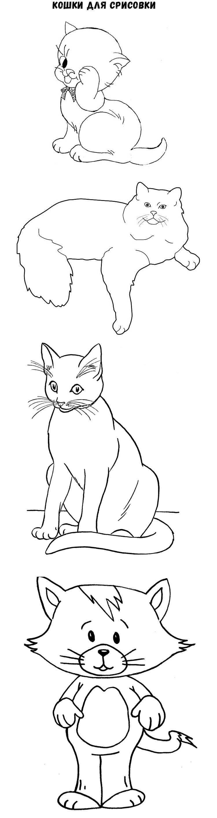 Рисунок кошки карандашом для срисовки Рисунки карандашом поэтапно