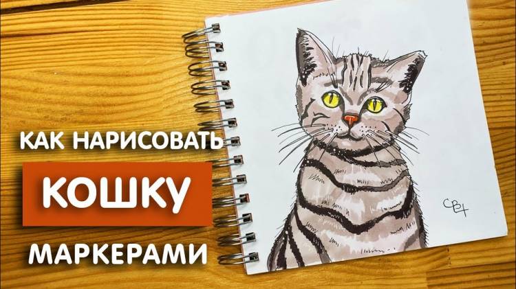 Как нарисовать кошку скетч маркерами
