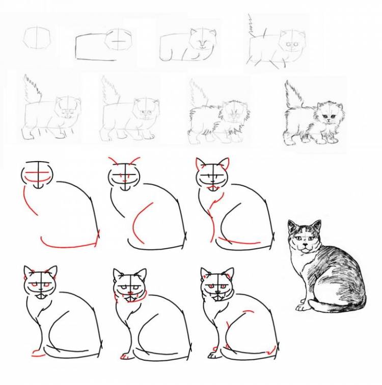 Как нарисовать кошку поэтапно карандашом 