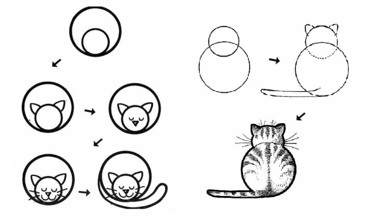 Как нарисовать кошку с помощью кругов