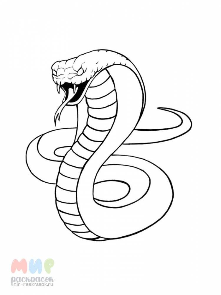 Змея карандашом для срисовки