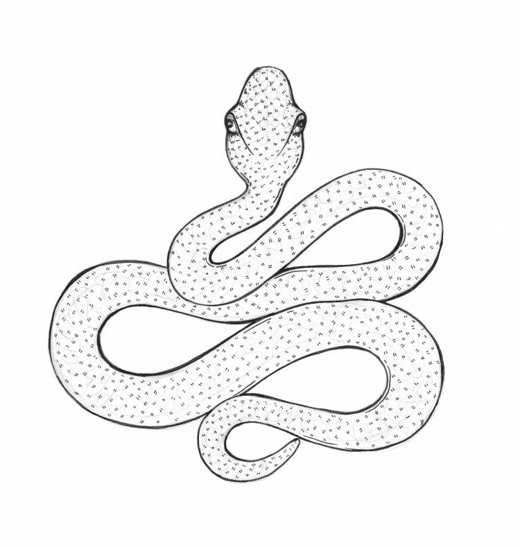Рисунок карандашом для срисовки змея