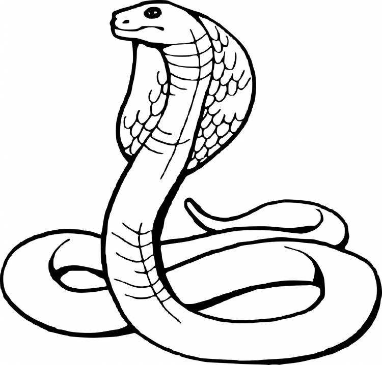 Змея рисунок раскраска 