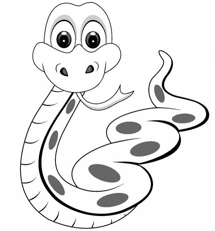 Рисунки змеи для срисовки 