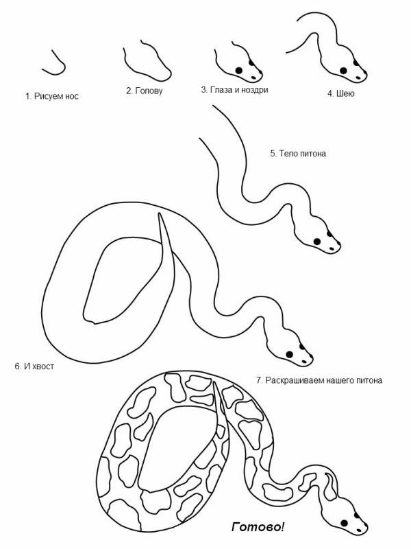 Рисунки змеи для срисовки 