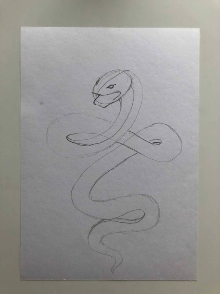 Как нарисовать змею карандашом поэтапно