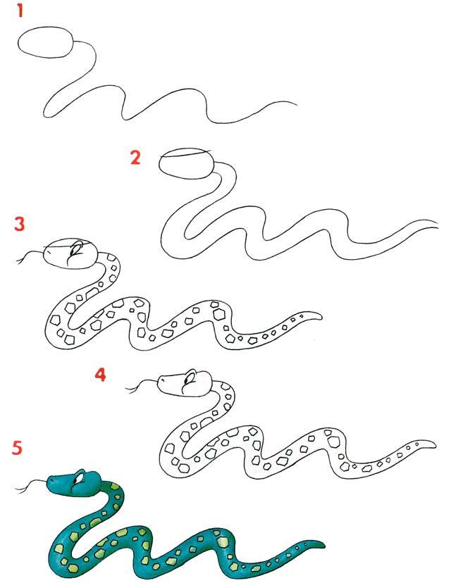 Как нарисовать змею поэтапно карандашом для детей