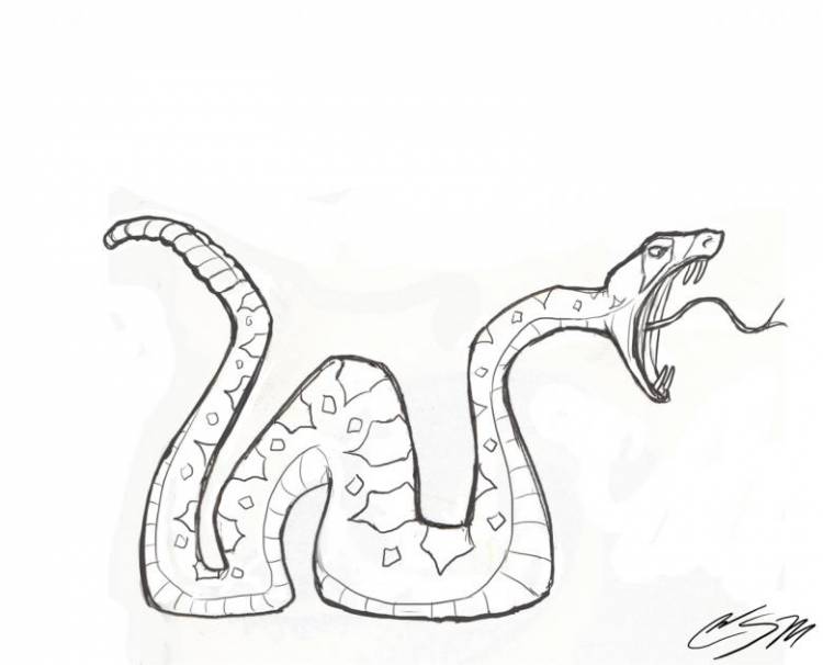 Как нарисовать змею поэтапно карандашом 