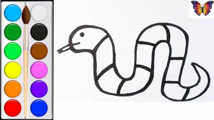 How to draw and color a snake