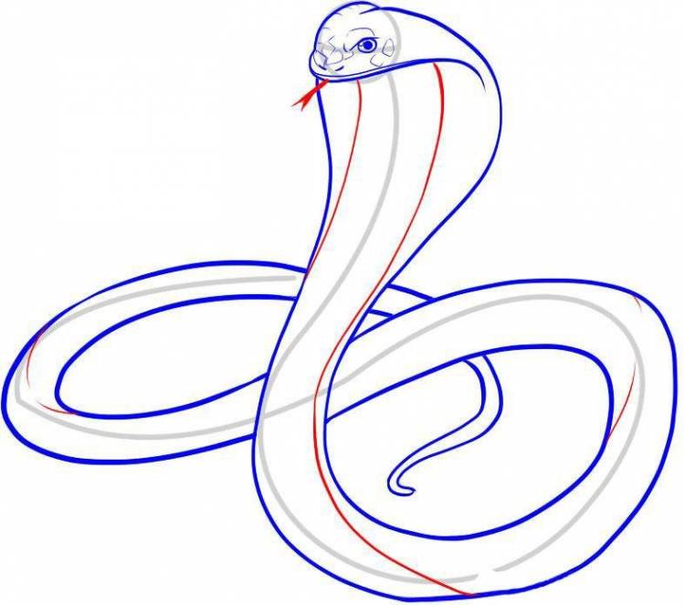 Змея рисунок для начинающих 