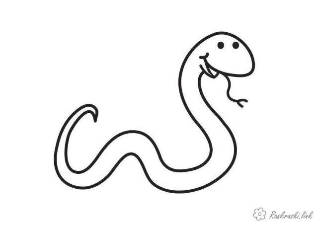 Картинки змей для срисовки 