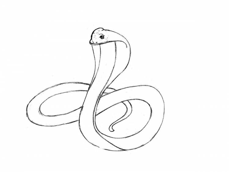 Легкие рисунки змеи для срисовки
