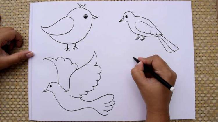 Как нарисовать птицу карандашом и красками