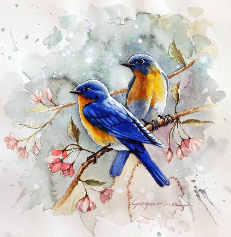 Рисунок в цвете птицы
