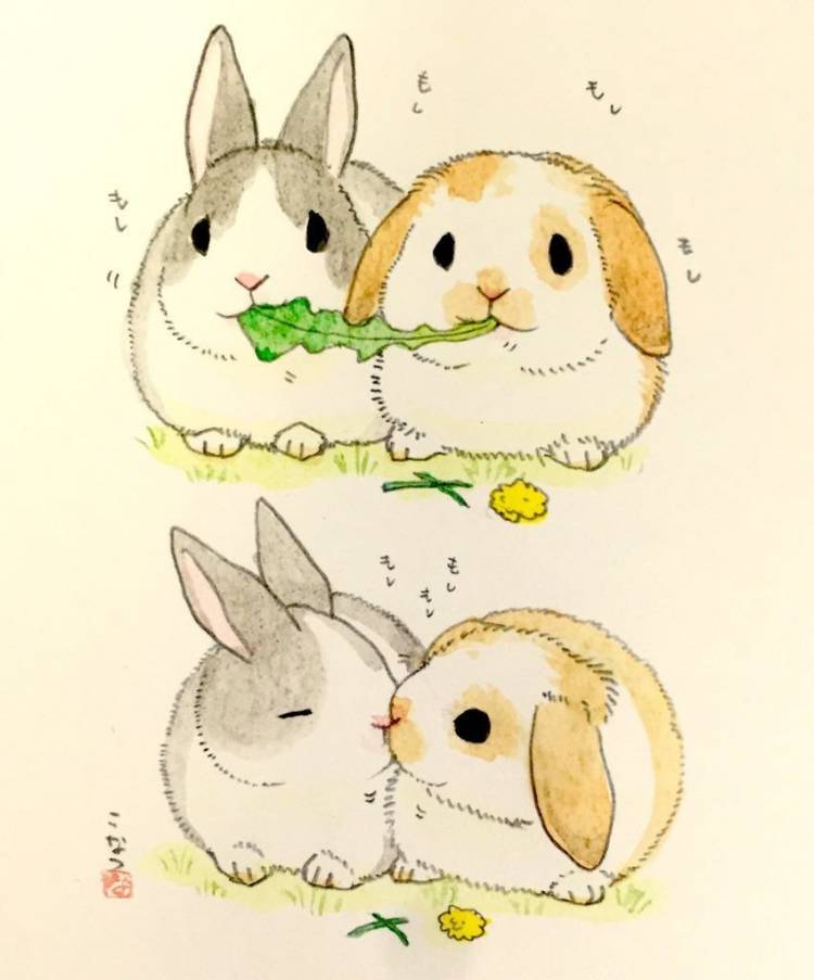 Рисунок милый кролик для срисовки